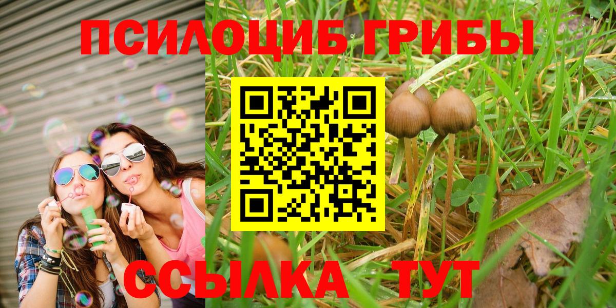 Галлюциногенные грибы Psilocybe  Вход с VPN  Псилоцибиновые грибы ЛСД  Петрозаводск 