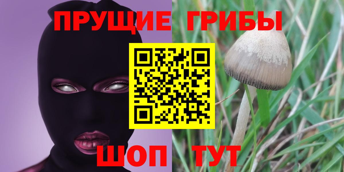 Галлюциногенные грибы мицелий Петрозаводск