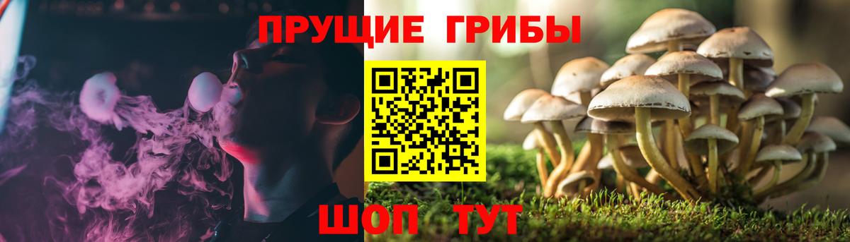 МЕФ кристаллы  Кокаин  Вход с VPN  Гашиш  Петрозаводск  Бошки Шишки  Альфа ПВП СОЛЬ  